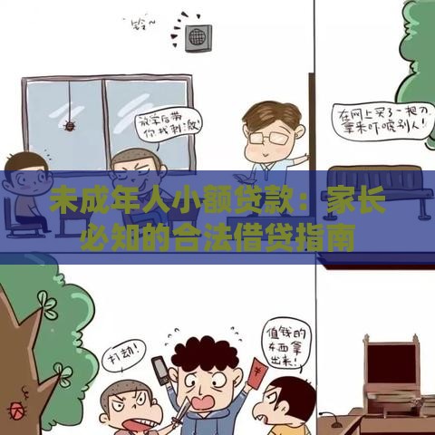 未成年人小额贷款：家长必知的合法借贷指南