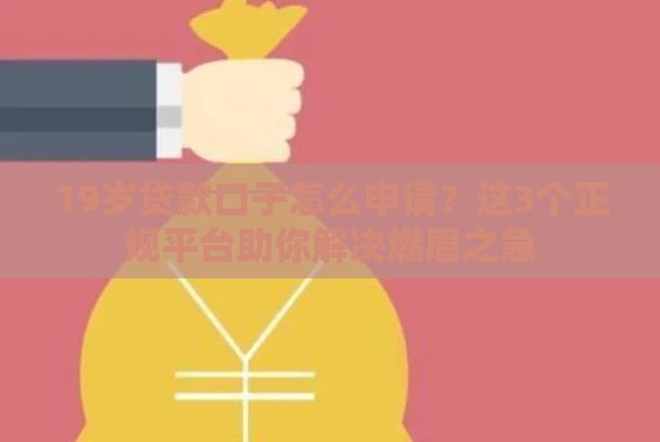 19岁贷款口子怎么申请？这3个正规平台助你解决燃眉之急