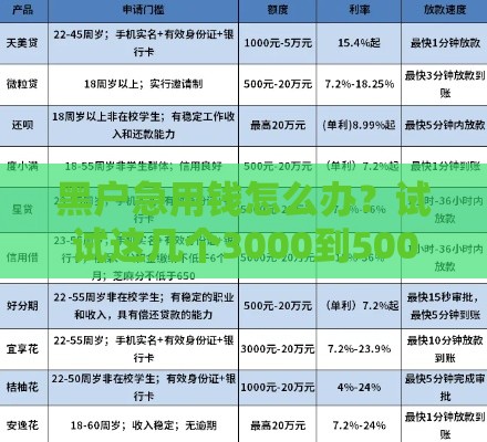 黑户急用钱怎么办？试试这几个3000到5000网贷口子，门槛低到想不到！