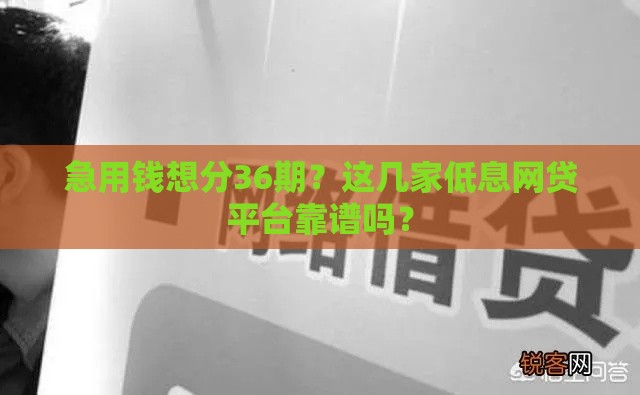 急用钱想分36期？这几家低息网贷平台靠谱吗？