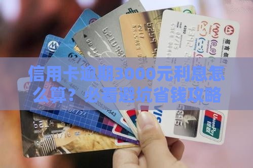 信用卡逾期3000元利息怎么算？必看避坑省钱攻略