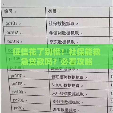 征信花了别慌！社保能救急贷款吗？必看攻略