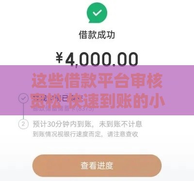 这些借款平台审核宽松 快速到账的小技巧