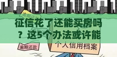 征信花了还能买房吗？这5个办法或许能帮你解决难题！