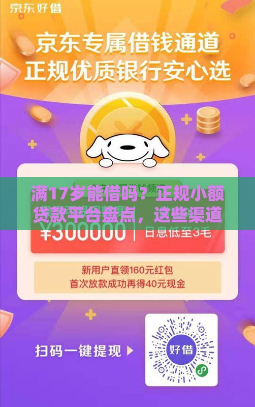 满17岁能借吗？正规小额贷款平台盘点，这些渠道安全靠谱！