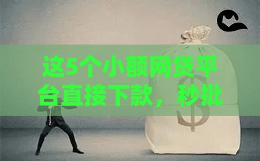 这5个小额网贷平台直接下款，秒批到账不等待