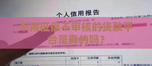 不用征信不审核的贷款平台是真的吗？