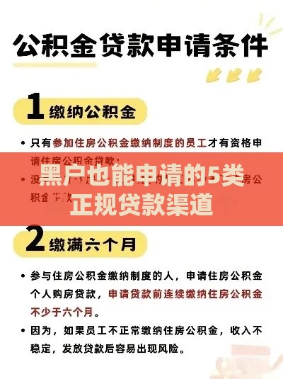 黑户也能申请的5类正规贷款渠道