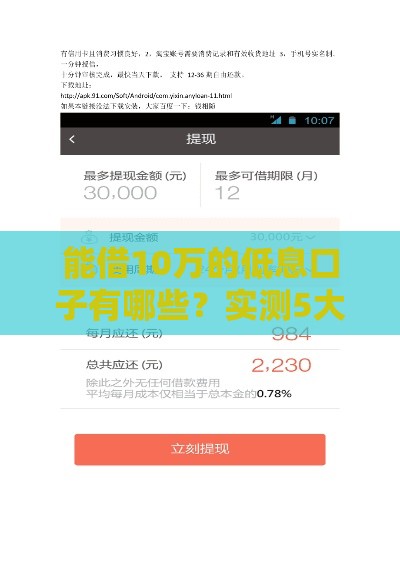 能借10万的低息口子有哪些？实测5大靠谱渠道推荐