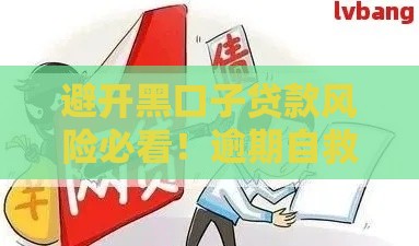 避开黑口子贷款风险必看！逾期自救指南与合法应对