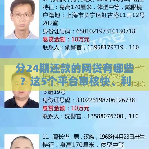 分24期还款的网贷有哪些？这5个平台审核快、利息低！