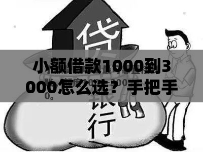 小额借款1000到3000怎么选？手把手教你避开雷区快速到账！
