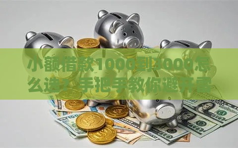 小额借款1000到3000怎么选？手把手教你避开雷区快速到账！