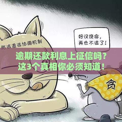 逾期还款利息上征信吗？这3个真相你必须知道！