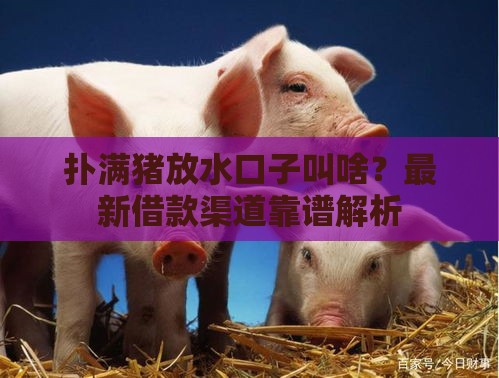 扑满猪放水口子叫啥？最新借款渠道靠谱解析