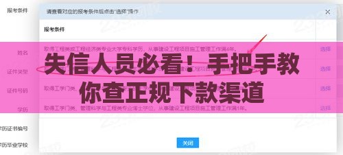 失信人员必看！手把手教你查正规下款渠道