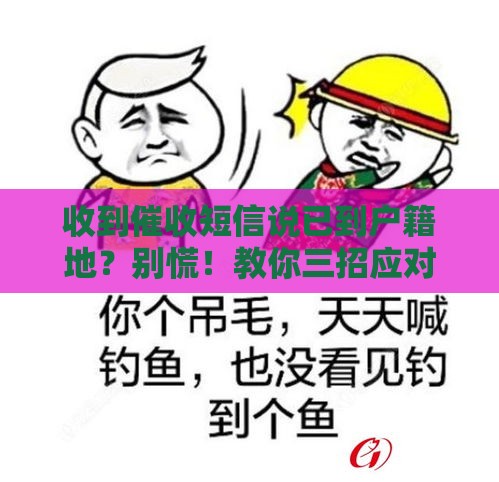 收到催收短信说已到户籍地？别慌！教你三招应对方法