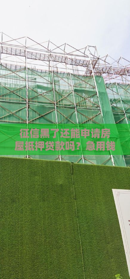 征信黑了还能申请房屋抵押贷款吗？急用钱必看攻略！