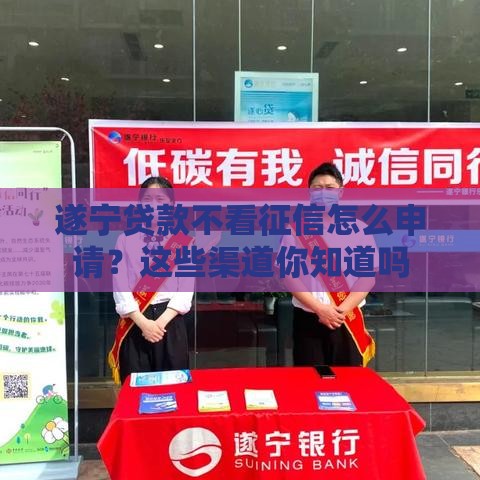 遂宁贷款不看征信怎么申请？这些渠道你知道吗
