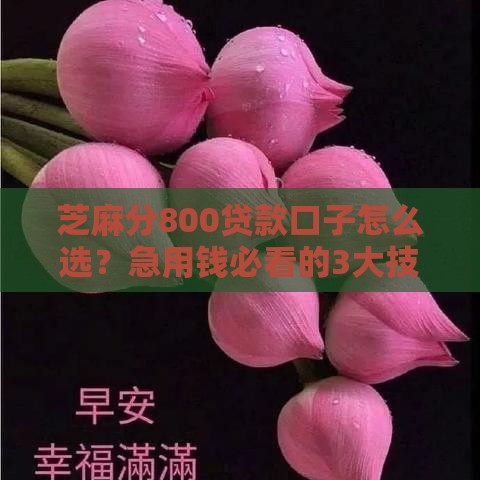 芝麻分800贷款口子怎么选？急用钱必看的3大技巧！
