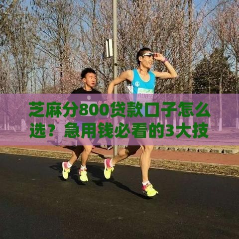 芝麻分800贷款口子怎么选？急用钱必看的3大技巧！