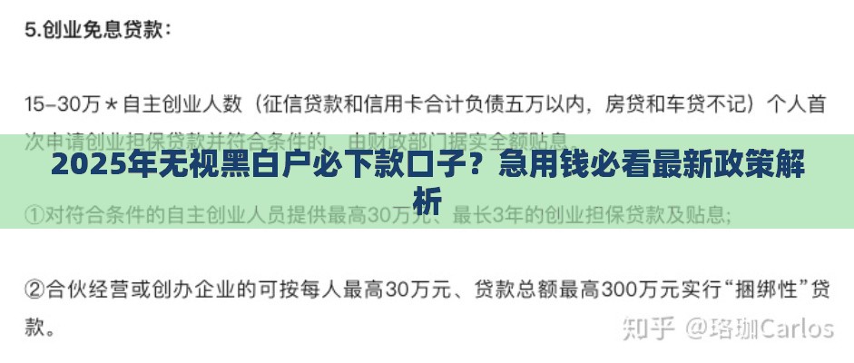 2025年无视黑白户必下款口子？急用钱必看最新政策解析