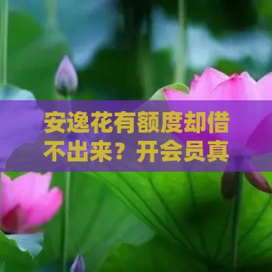 安逸花有额度却借不出来？开会员真的有用吗？真相来了！