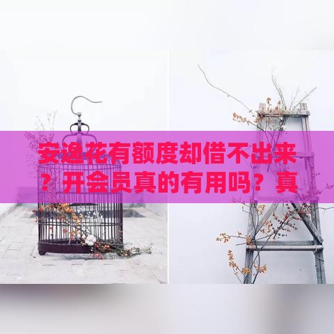 安逸花有额度却借不出来？开会员真的有用吗？真相来了！