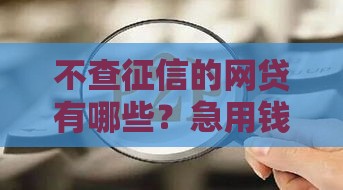 不查征信的网贷有哪些？急用钱必看这几类平台！
