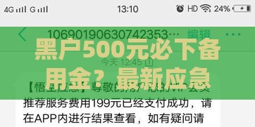 黑户500元必下备用金？最新应急技巧解析