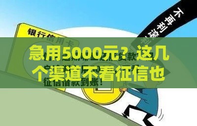 急用5000元？这几个渠道不看征信也能借到！试试这些方法！
