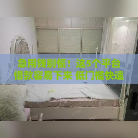 急用钱别慌！这5个平台借款容易下来 低门槛快速到账