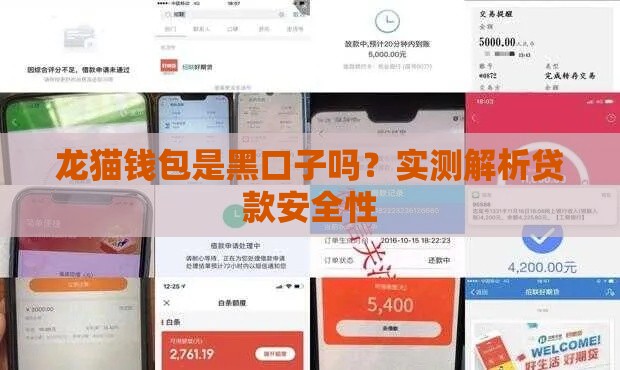 龙猫钱包是黑口子吗？实测解析贷款安全性