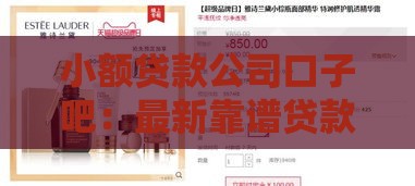 小额贷款公司口子吧：最新靠谱贷款攻略+避坑指南