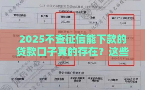 2025不查征信能下款的贷款口子真的存在？这些渠道你要知道！