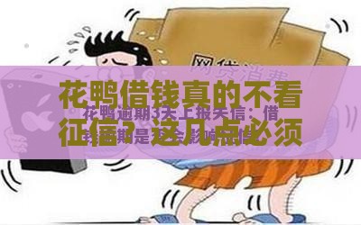 花鸭借钱真的不看征信？这几点必须了解！