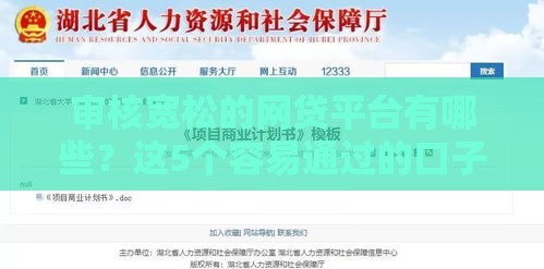 审核宽松的网贷平台有哪些？这5个容易通过的口子别错过