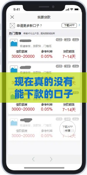 现在真的没有能下款的口子了吗？揭秘最新贷款门道