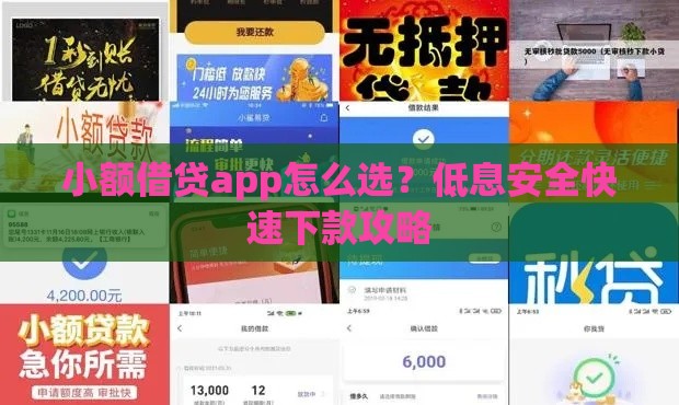 小额借贷app怎么选？低息安全快速下款攻略