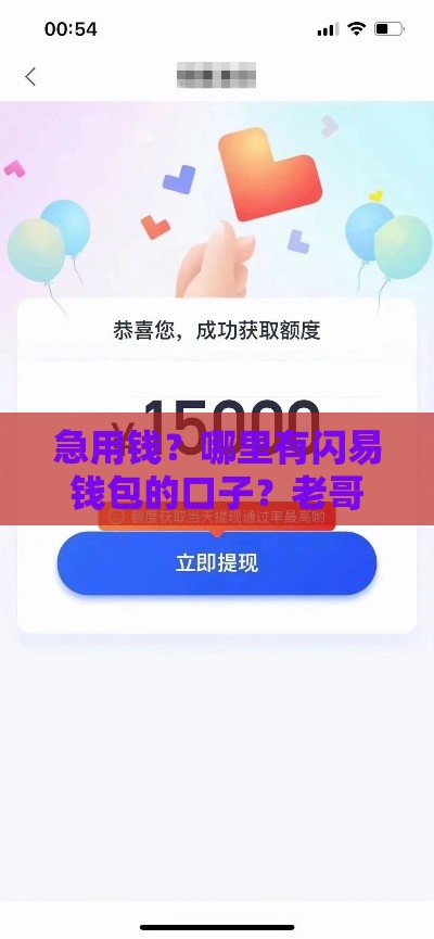 急用钱？哪里有闪易钱包的口子？老哥实测分享这几个渠道靠谱