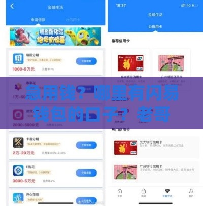 急用钱？哪里有闪易钱包的口子？老哥实测分享这几个渠道靠谱