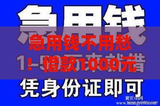 急用钱不用愁！借款1000元马上放款，快速到账全攻略