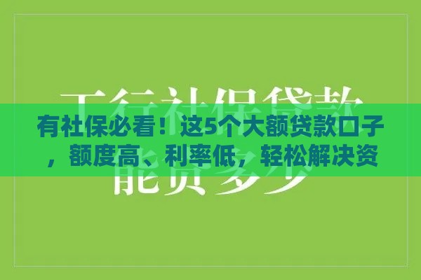 有社保必看！这5个大额贷款口子，额度高、利率低，轻松解决资金难题