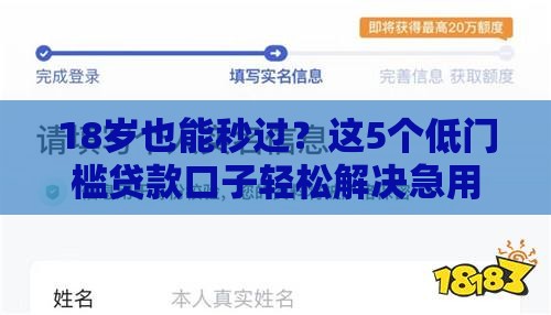 18岁也能秒过？这5个低门槛贷款口子轻松解决急用钱！