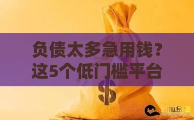 负债太多急用钱？这5个低门槛平台还能贷！手把手教你避坑
