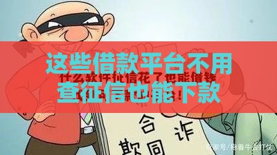 这些借款平台不用查征信也能下款