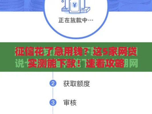 征信花了急用钱？这5家网贷实测能下款！速看攻略