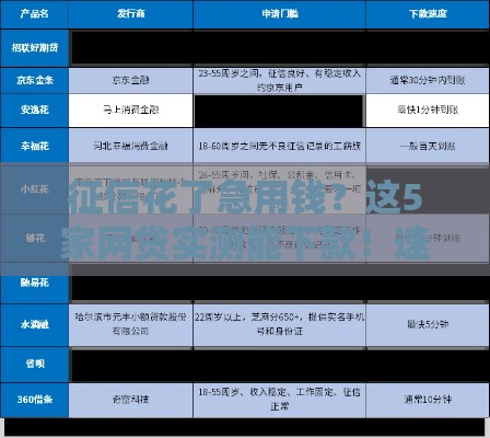 征信花了急用钱？这5家网贷实测能下款！速看攻略
