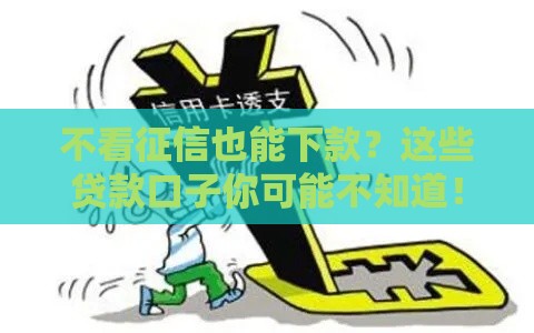 不看征信也能下款？这些贷款口子你可能不知道！