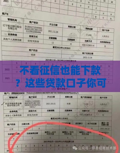 不看征信也能下款？这些贷款口子你可能不知道！
